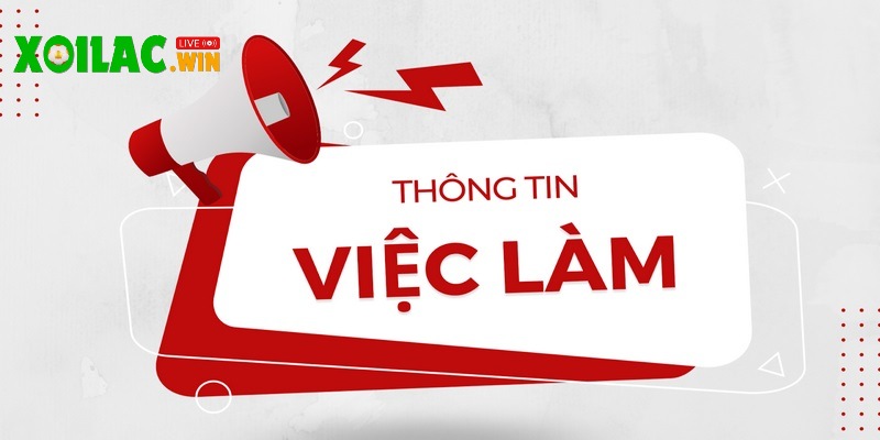 Tuyển dụng tại Xoilac.win mang đến nhiều phúc lợi hấp dẫn Tuyển dụng tại Xoilac.win mang đến nhiều phúc lợi hấp dẫn