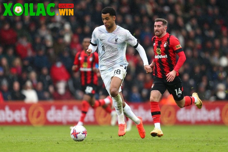 Soi kèo Liverpool vs Bournemouth - 2h00 ngày 16/8