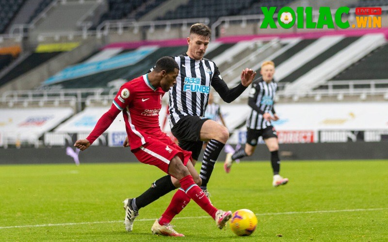 Soi kèo Newcastle vs Liverpool - 2h00 ngày 26/8
