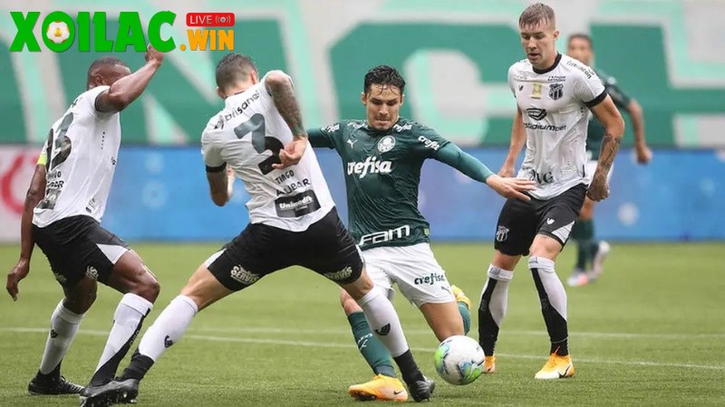Soi kèo Palmeiras vs Ceara - 2h00 ngày 11/8
