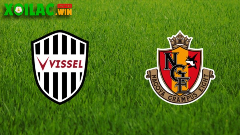Soi kèo Vissel Kobe vs Nagoya Grampus – 16h00 ngày 15/6 – J1 League